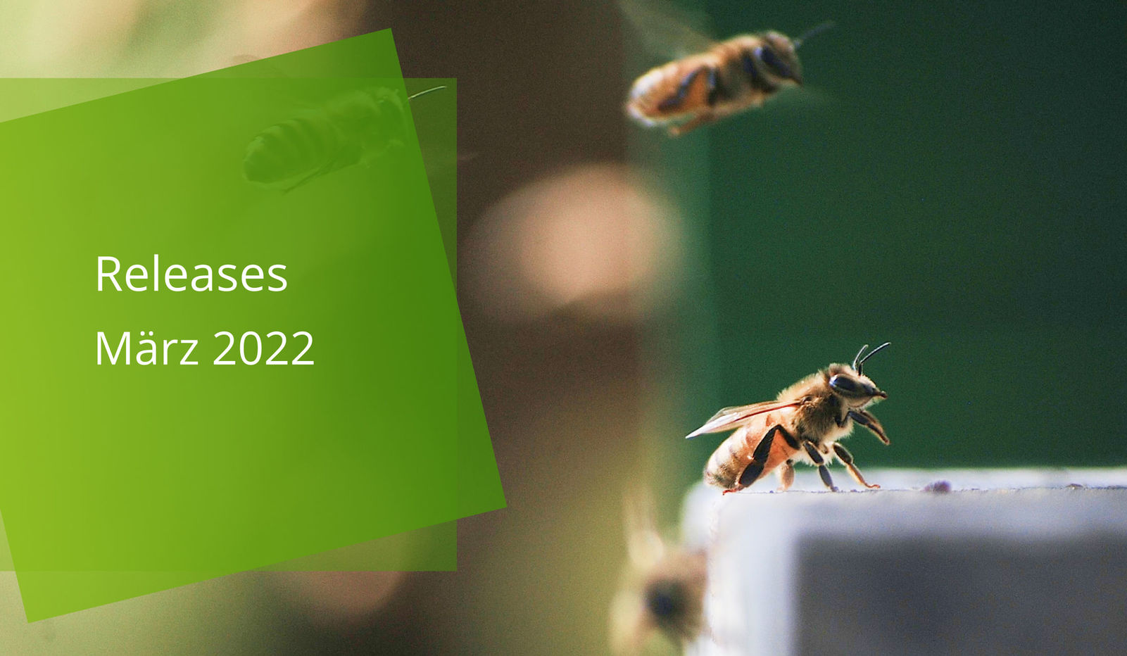 easysquare Release Note 6.144 für den März 2022